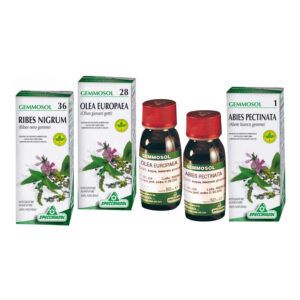 Gemmosol 36 ribes nero 100ml - Specchiasol