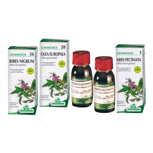 900128897.jpeg Gemmosol 36 ribes nero 100ml - Specchiasol