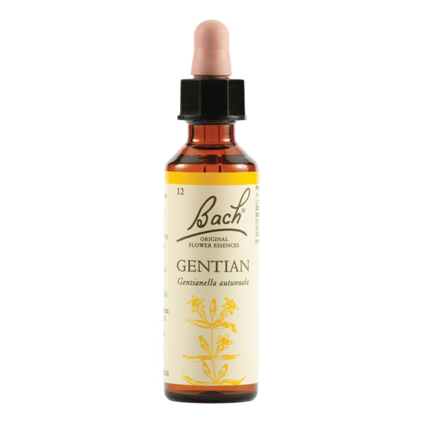 942859238.jpeg Gentian bach orig 20ml - Fiori di bach